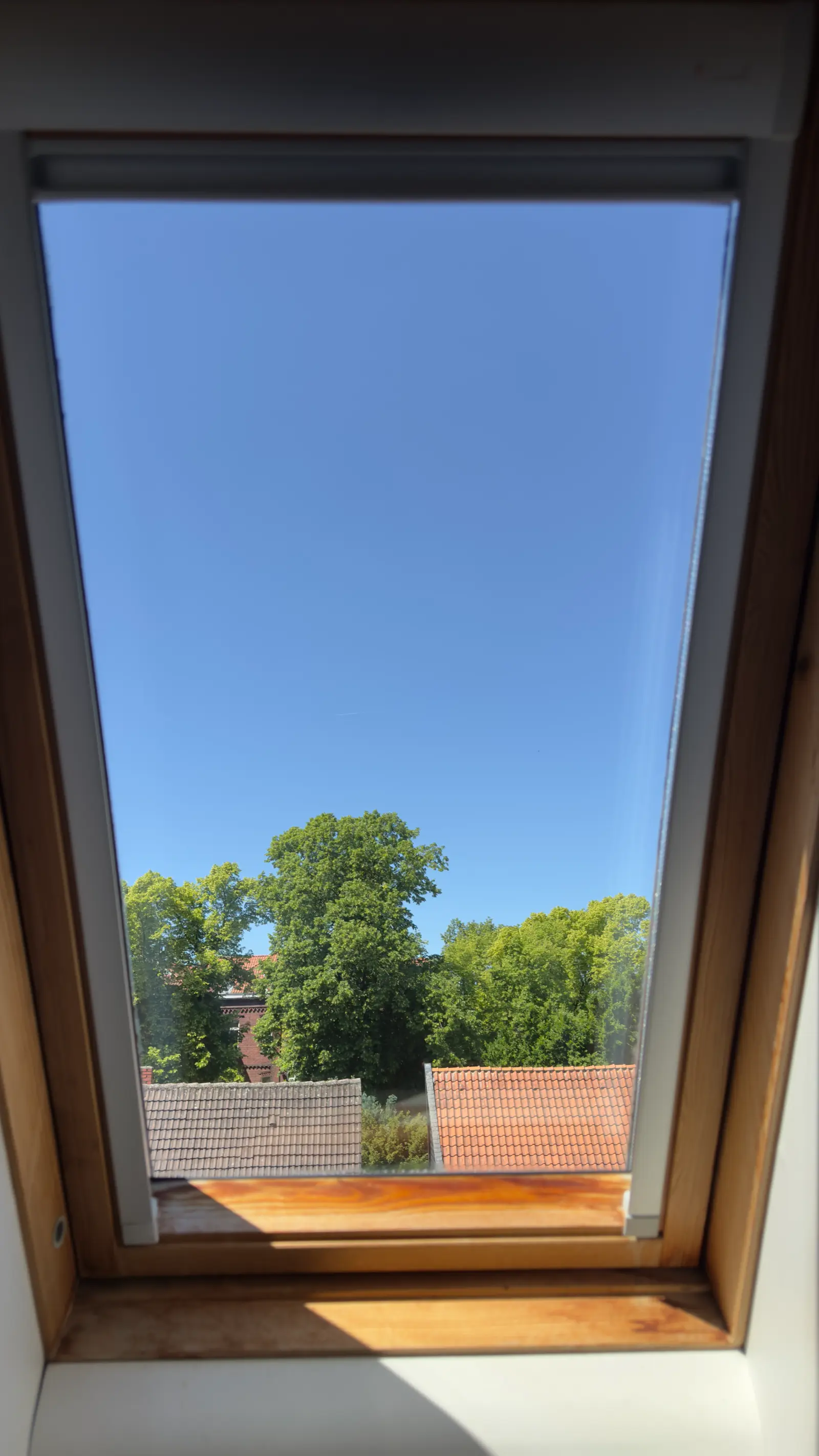 Gereinigtes Velux-Dachfenster nach der Glasreinigung